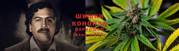 амф Новый Уренгой