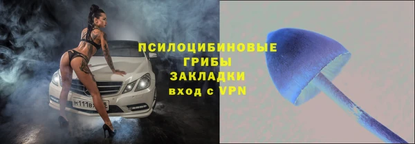 гидра Абинск