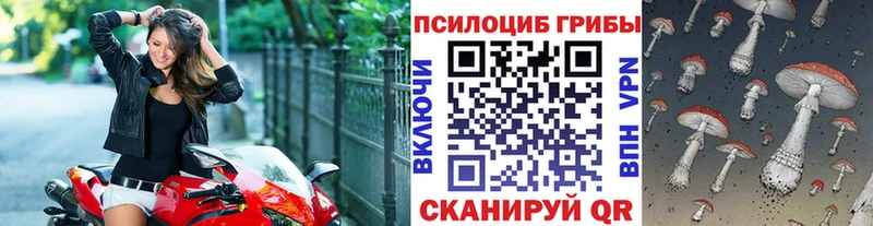 OMG сайт  Каменск-Шахтинский  Псилоцибиновые грибы Psilocybine cubensis  купить  