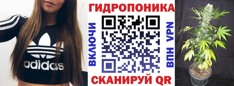 Конопля конопля  наркота  Каменск-Шахтинский 